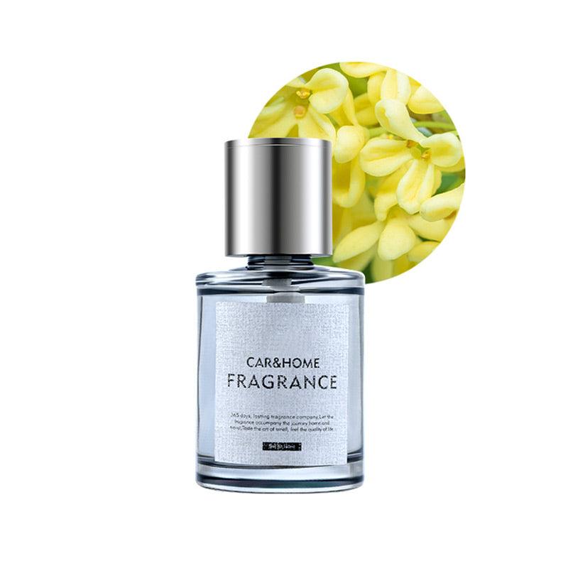 https://cdn.shopify.com/s/files/1/0575/4100/1258/products/spp_20231012180330_46b127e7759849a1b943fe24f4c5e8aa.jpg?v=1741419289