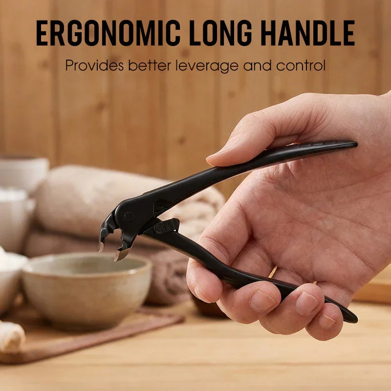 https://cdn.shopify.com/s/files/1/0575/4100/1258/files/spp_shopify20260212124012_17c81e26687f65a5aa1cbb5cd4df4397_9ff3e048-81fb-48c1-a086-630e25f9f003.jpg?v=1779637149